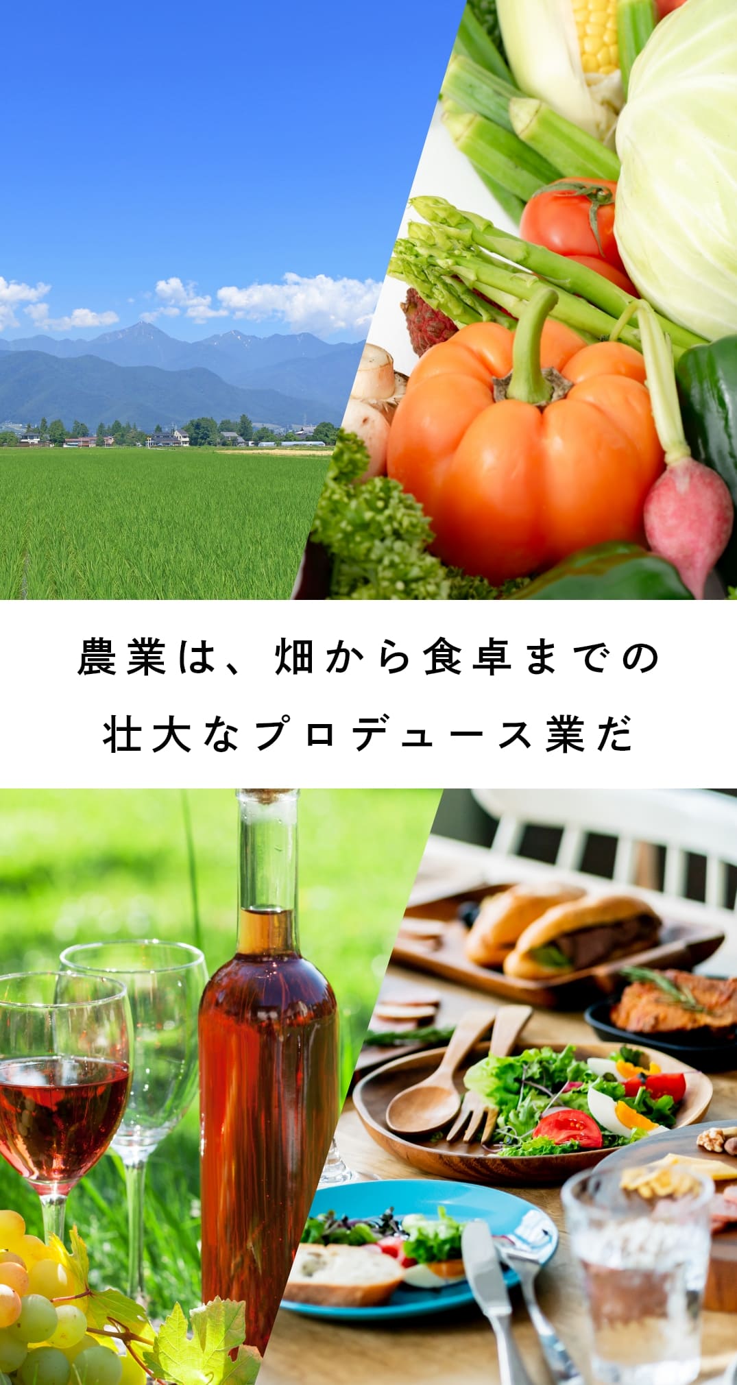 農業は、畑から食卓までの壮大なプロデュース業だ
