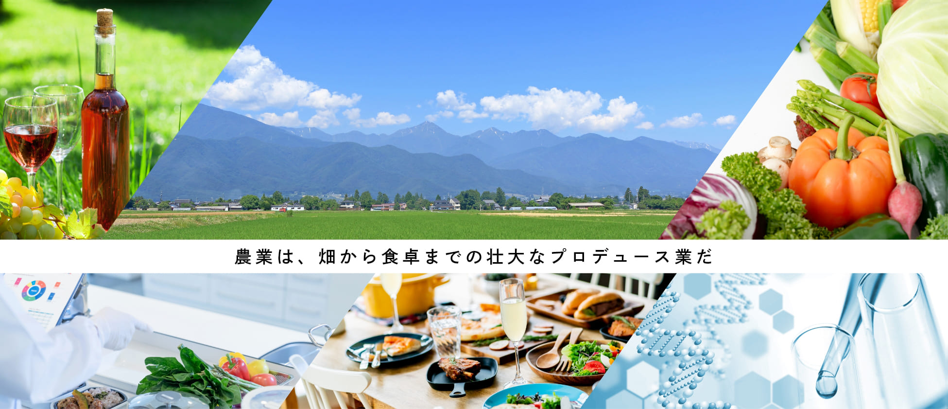 農業は、畑から食卓までの壮大なプロデュース業だ