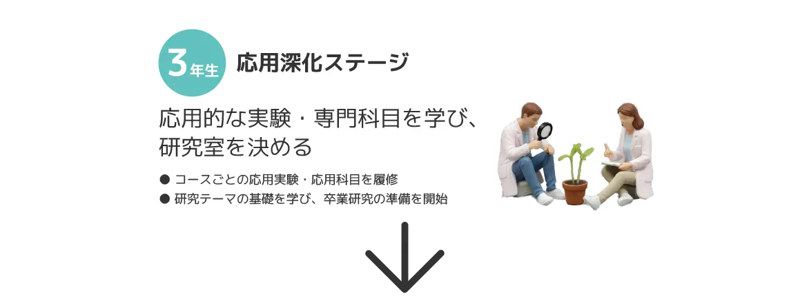 3年応用深化ステージ応用的な実験・専門科目を学び、研究室を決める