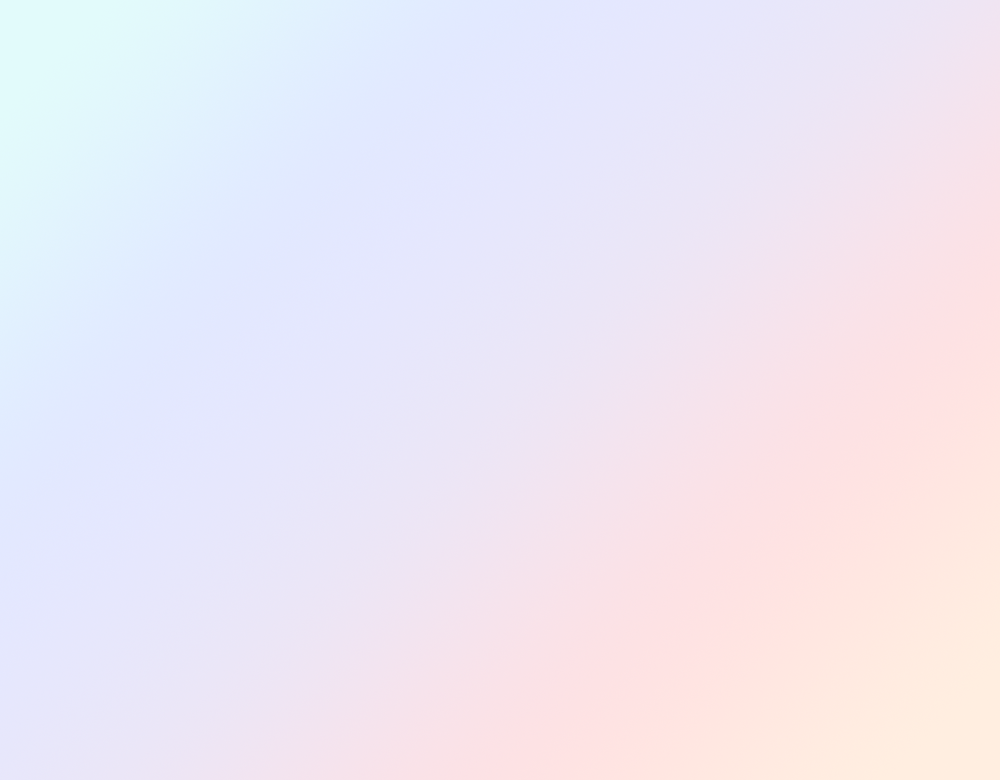 APPLICATION WEB出願