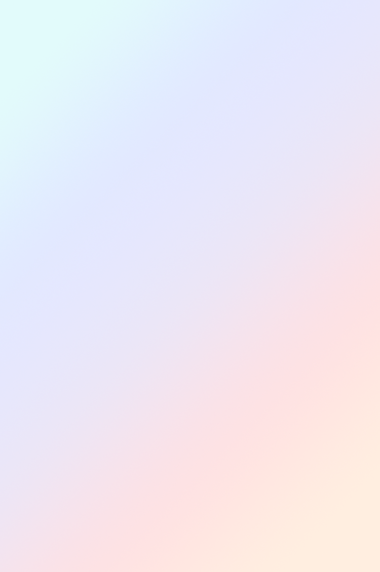 APPLICATION WEB出願