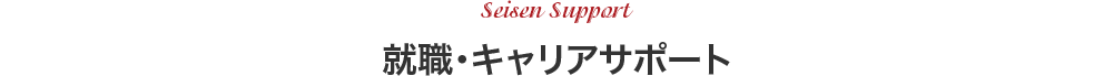 Seisen Support 就職・キャリアサポート